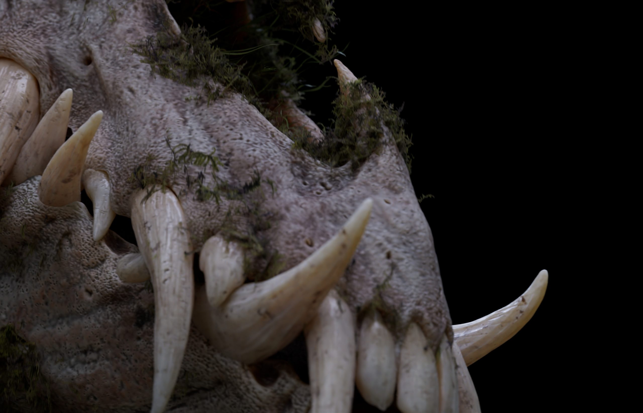 2510_senuelo_020_0040_light_main_render_main_dN_v011.1188