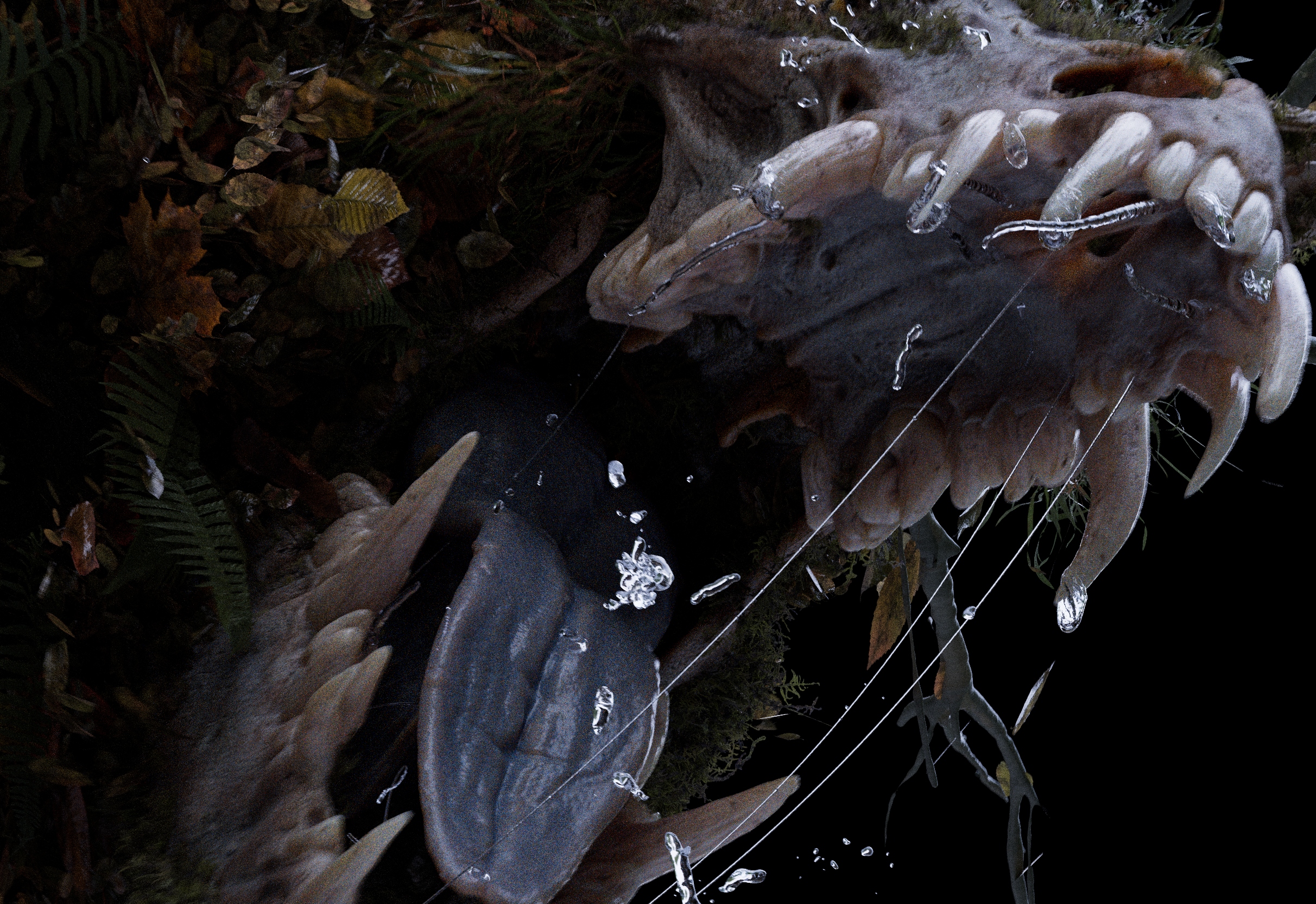 2510_senuelo_020_0110_light_main_render_main_v004.1039