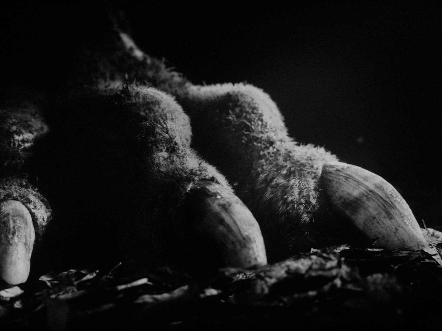 SEN_DC_MASTER_4444XQ_10693